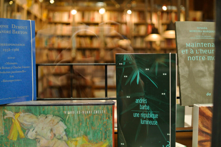 Lire la suite à propos de l’article De l&rsquo;importance des librairies indépendantes (2/2)
